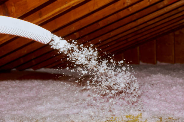 Insulation Inspection Services in Cortez, FL